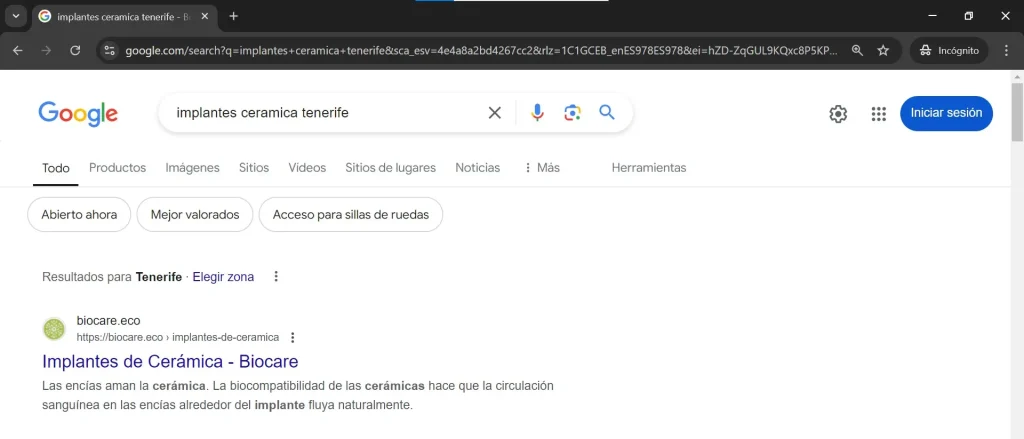 Captura de resultados SEO 2