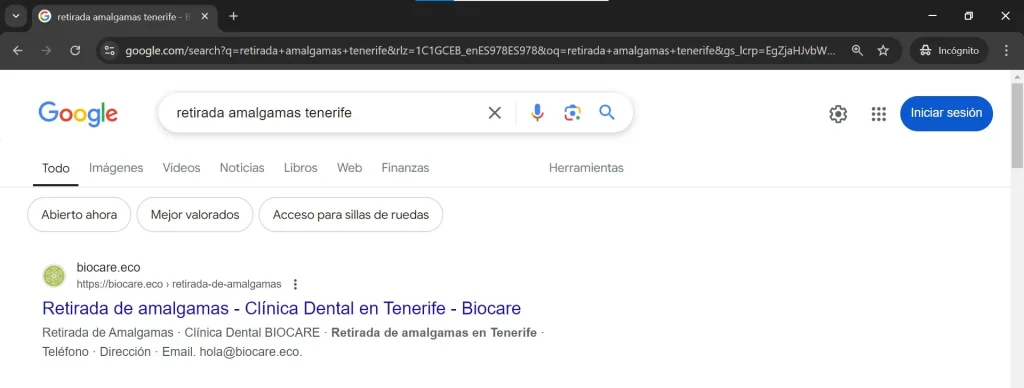 Captura de resultados SEO 1